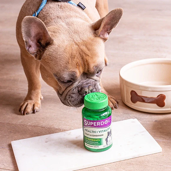 SuperDog Health & Vitality - Image 4