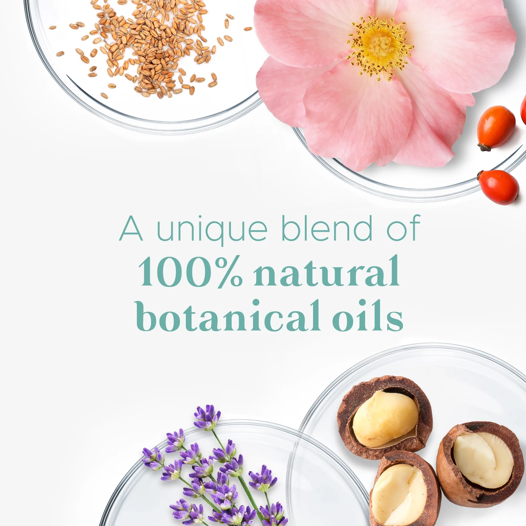 Perfectil Biotherapy Body Oil - Image 4
