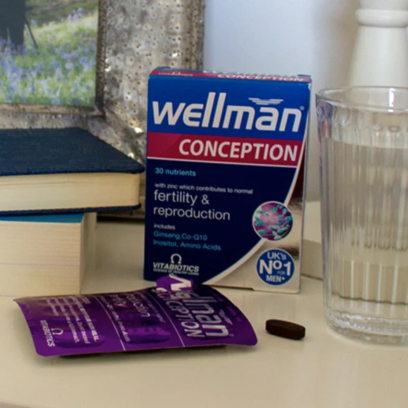Wellman Conception - Image 4